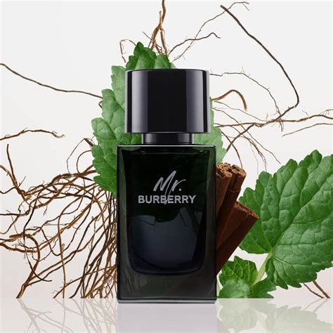 mr burberry bei ro
